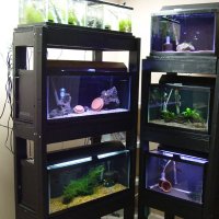 fishroom5